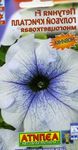 Garden Flowers Petunia  Photo; light blue