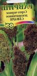 Ornamental Plants Broom Corn cereals (Sorghum) Photo; brown