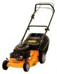 lawn mower ALPINA FL 46 LMG Photo and description