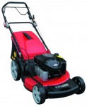 self-propelled lawn mower DDE WLZ21H Photo and description