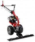 Eurosystems P70 850 Series Motor Mower hay klipperen bensin  Bilde