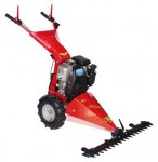 Meccanica Benassi F 213H mower féar   Photo