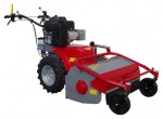 self-propelled lawn mower Meccanica Benassi TR 60 Hydro Photo and description