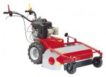 self-propelled lawn mower Meccanica Benassi TR 80 Photo and description