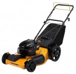 self-propelled lawn mower Parton PA625Y22RKP Photo and description