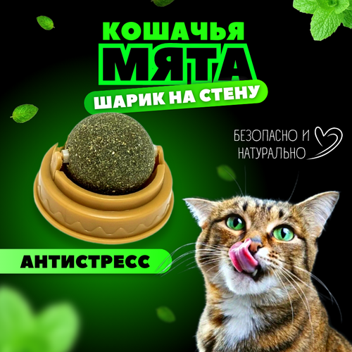 Кошачья мята / Шарик с кошачьей мятой на стену / Лакомство для кошек купить за 149 руб, фото