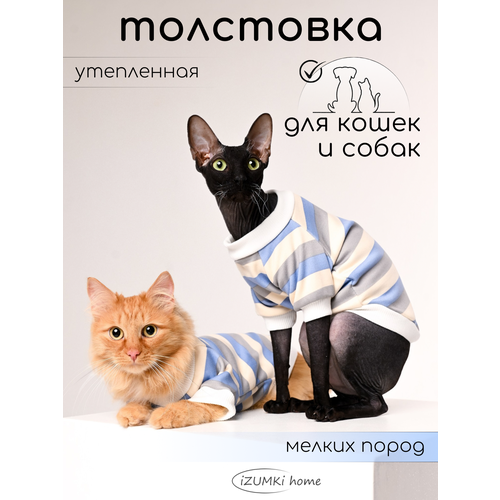 Толстовка для кошек и собак флисовая фотография