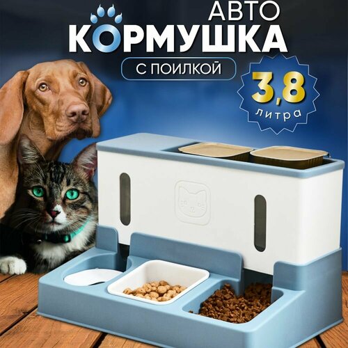 Автоматическая тройная кормушка для кошек и собак Oqqi, с поилкой фотография