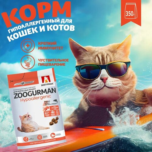 Полнорационный сухой корм для взрослых кошек Зоогурман Hypoallergenic, Лосось с рисом/Salmon & Rice 350 г фотография