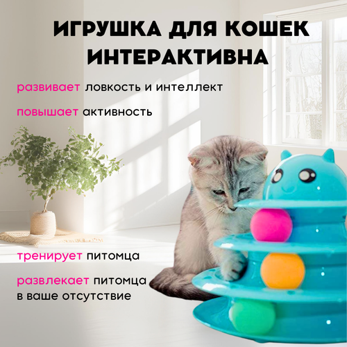 Игрушка интерактивная для кошек и котят, Трек-игрушка для животных, ZOOWELL, голубая фотография