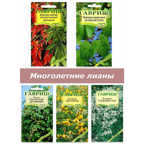 Набор семян, семена многолетних лиан и вьющихся растений, виноград, хмель, клематис фотография