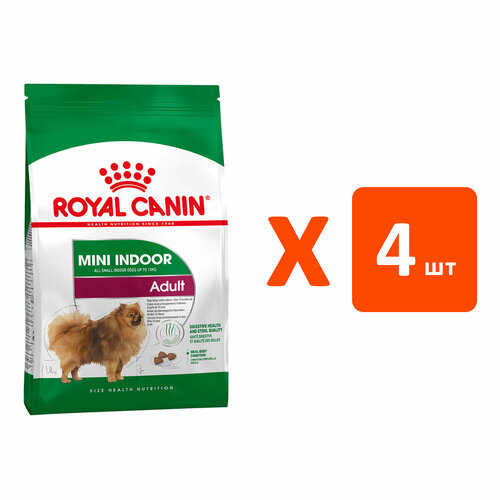 ROYAL CANIN MINI INDOOR LIFE ADULT для взрослых собак маленьких пород живущих дома (3 кг х 4 шт) купить за 10182 руб, фото