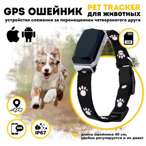 GPS ошейник для собак и кошек купить за 2989 руб, фото