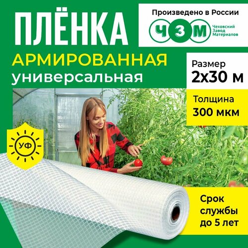 Пленка армированная универсальная 300 мкм, 2х30 м купить за 3905 руб, фото