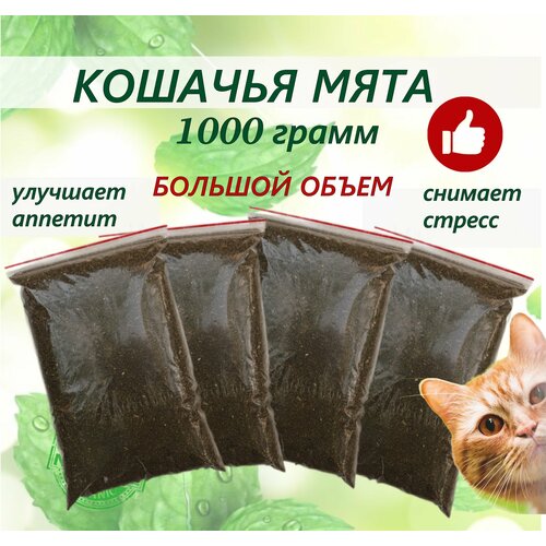 Кошачья мята лакомство для кошек 1 кг. Котовник сушенный. Для приучения к месту, коррекции поведения, успокоительное. фотография