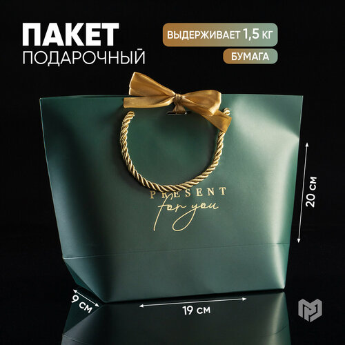 Пакет подарочный с бантом Present for you, 19 х 20 х 9 см фотография