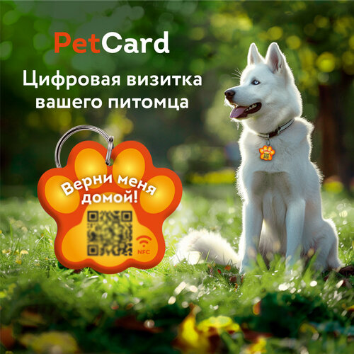 Адресник PetCard для собак и кошек с QR кодом и NFC, оранжевый. купить за 450 руб, фото