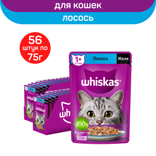 Влажный полнорационный корм Whiskas для взрослых кошек, желе с лососем, 75г. х 56шт. фотография