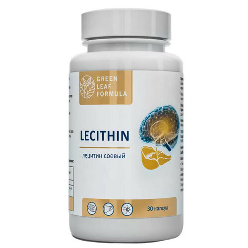 LECITHIN Лецитин соевый, эссенциальные фосфолипиды, витамины для мозга, для памяти, для спорта, для печени, для сердца и сосудов фотография