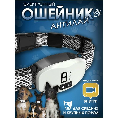 Электроошейник для дрессировки собак антилай купить за 4999 руб, фото