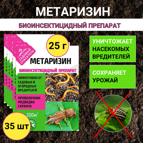 Ивановское Метаризин биоинсектицид от садовых вредителей в почве 25 г, 35 шт купить за 2129 руб, фото