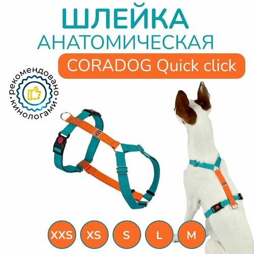 Шлейка прогулочная анатомическая для средних и крупных пород собак, CORADOG Quick click, размер M, цвет бирюзовый, оранжевый фотография