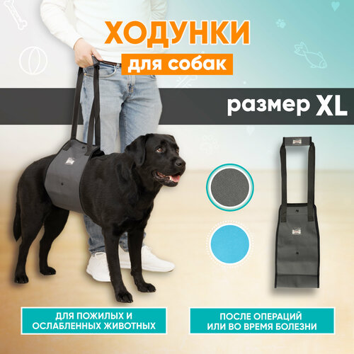 Задняя поддержка для собак, ходунки для собак Mr Dog серая, XL фотография