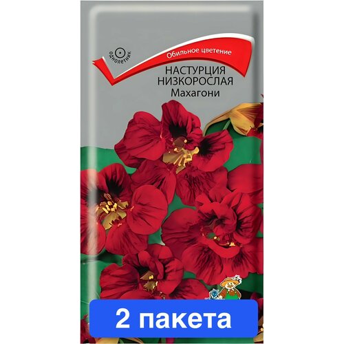 Цветы Настурция низкорослая Махагони Поиск 2 пакета купить за 447 руб, фото