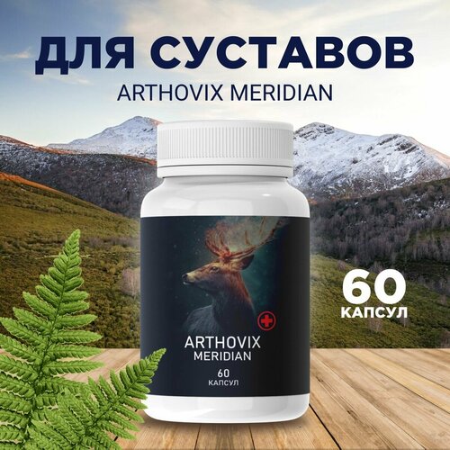 Средство для здоровья суставов Arthovix Meridian фотография