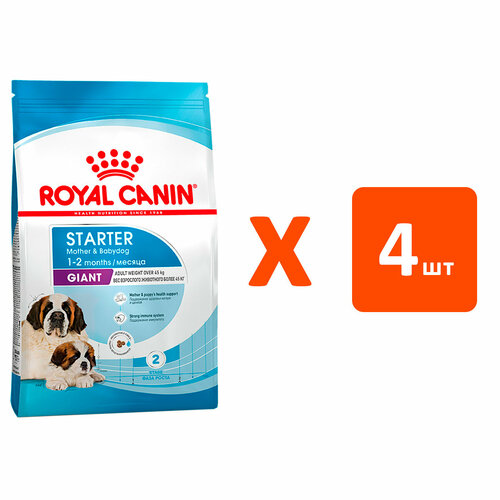 ROYAL CANIN GIANT STARTER для щенков крупных пород до 2 месяцев, беременных и кормящих сук (4 кг х 4 шт) купить за 11404 руб, фото