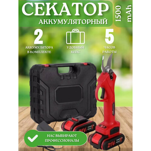 Аккумуляторный секатор-сучкорез Smart, 21 В, 2 А*ч, 2 аккумулятора, кейс купить за 5800 руб, фото