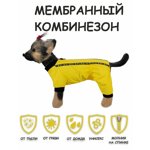 Дождевик для собак DOGMODA Мартин (желтый) унисекс , р. 3, 28см фотография