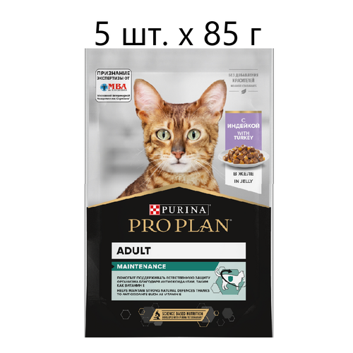 Влажный корм для кошек Purina Pro Plan Adult Maintenance with Turkey, для взрослых, индейка, 5 шт. х 85 г (кусочки в желе) фотография