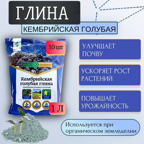 Глина Кембрийская голубая природная добавка к грунтам 1 л, 10 шт купить за 1561 руб, фото