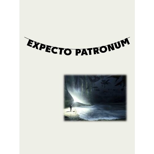 Гирлянда бумажная растяжка из букв черная - EXPECTO PATRONUM купить за 900 руб, фото