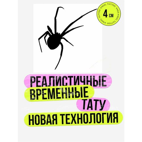 Тату переводные долговременные взрослые паук фотография