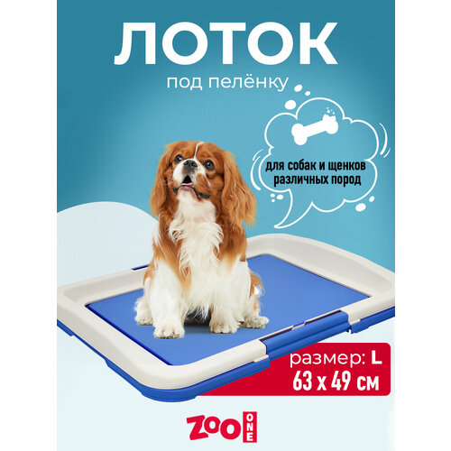 Туалет для собак ZooOne Японский стиль большой 64х49х6 см 1 шт. 1 шт. 64 см 49 см 6 см синий L фотография