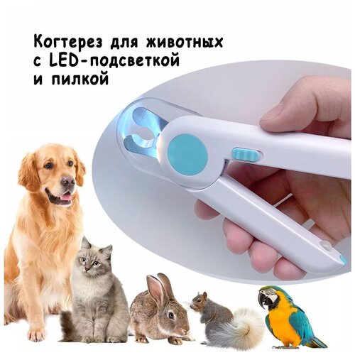 Когтерез для груминга кошек собак и других животных с LED-подсветкой и портативной встроенной точилкой фотография