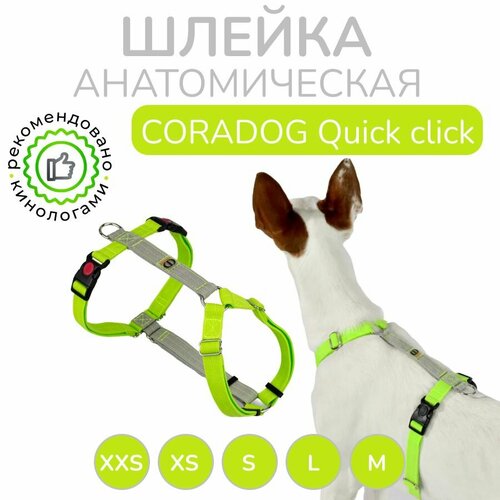 Шлейка прогулочная анатомическая для мелких и средних пород собак, CORADOG Quick click, размер XS, цвет салатовый, серый купить за 3098 руб, фото