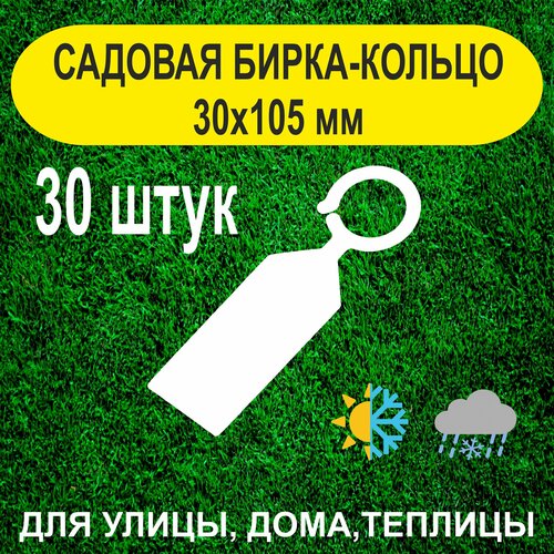 Садовая бирка-кольцо 30х105мм. с удобным креплением. 30штук купить за 300 руб, фото