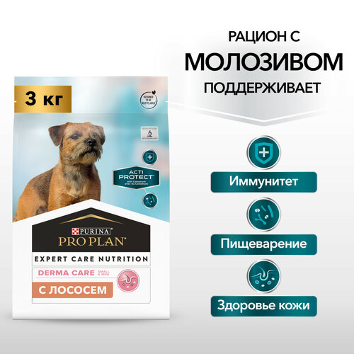 Сухой корм PRO PLAN ACTI PROTECT, для взрослых собак мелких и карликовых пород с чувствительной кожей, с высоким содержанием лосося, 3кг фотография