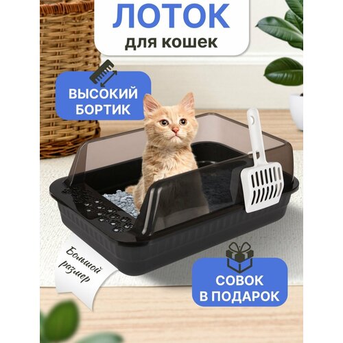 Лоток с высокими бортиками для кошек Teddy Dog 51х35х19. Серый фотография