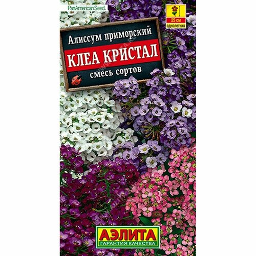 Семена Алиссум Клеа кристал, смесь сортов, однолетник, (Аэлита) 4шт PanAmerican купить за 60 руб, фото