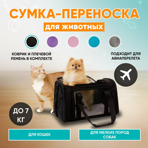 Сумка-переноска для кошек и мелких собак MR DOG купить за 1508 руб, фото