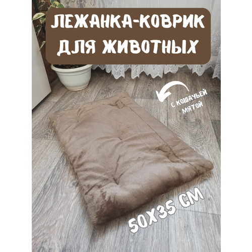 Лежанка-коврик подстилка для животных, 50х35 см, лежак для кошек с кошачьей мятой шоколад фотография