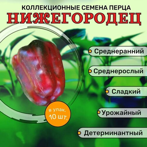 Коллекционные семена перца сладкого Нижегородец купить за 102 руб, фото