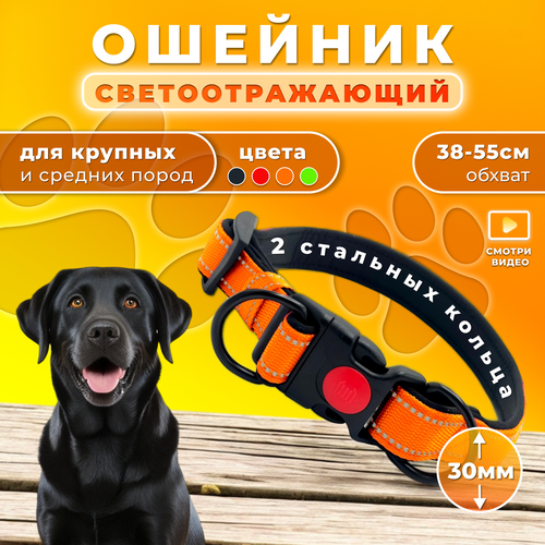 Ошейник Doggy&Dog Shop, для крупных и средних собак, с двумя кольцами, светоотражающий, оранжевый купить за 499 руб, фото