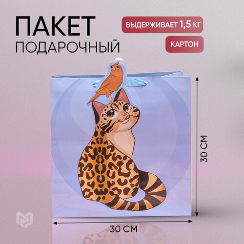 Пакет подарочный детский «Кот», 30 х 30 х 15 см фотография