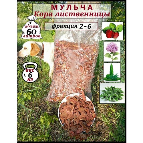 Мульча. Кора лиственницы, 2-6. Мульча для сада 60 литров купить за 1150 руб, фото