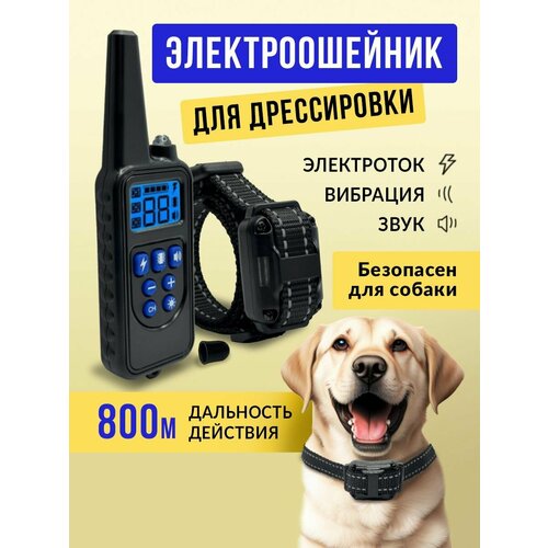 Электронный дрессировочный ошейник антилай SuperPets фотография